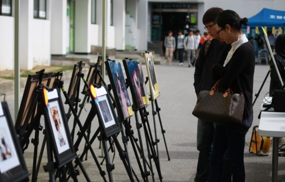 2010년 청룡축전