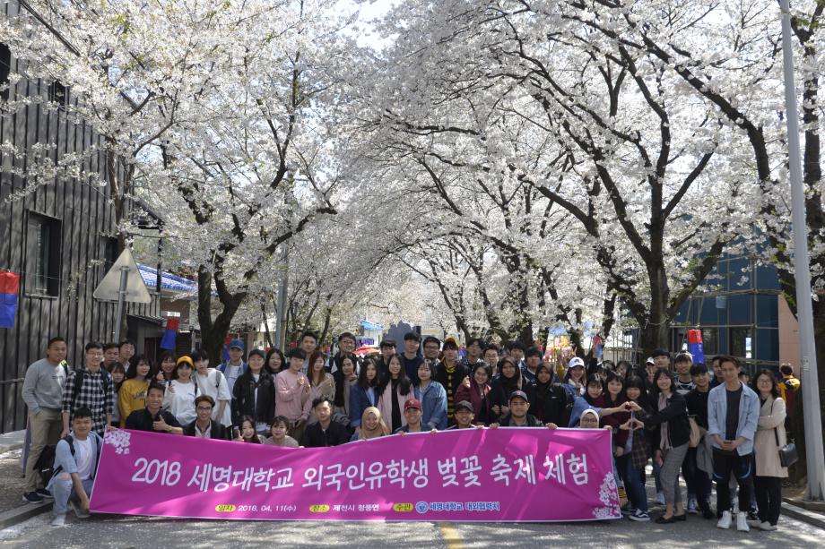 2018 외국인유학생 벚꽃체험