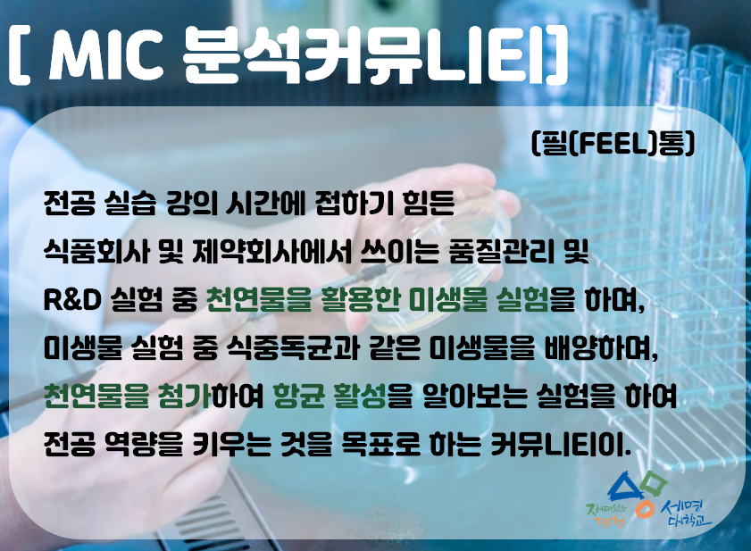 동아리 MIC 분석커뮤니티 이미지