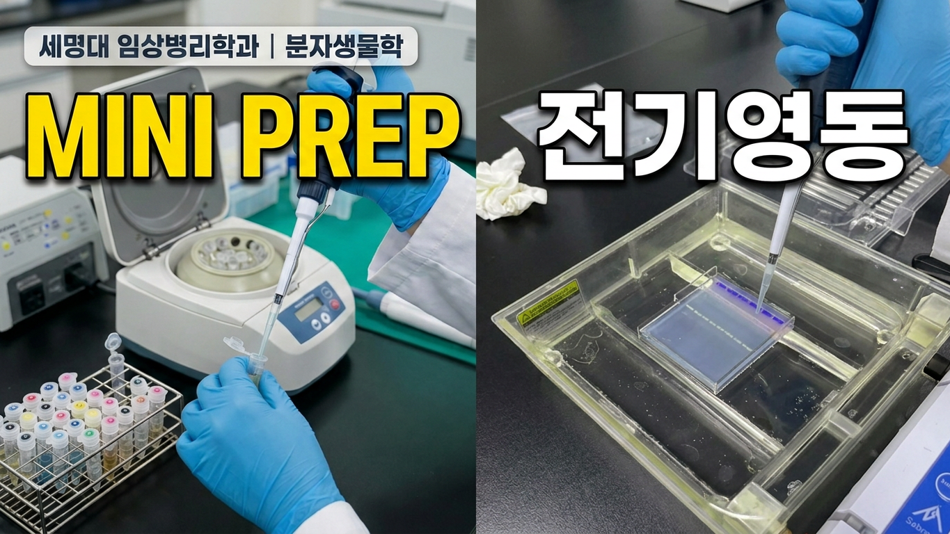 2026-2 임상분자생물학 및 실험 실습영상